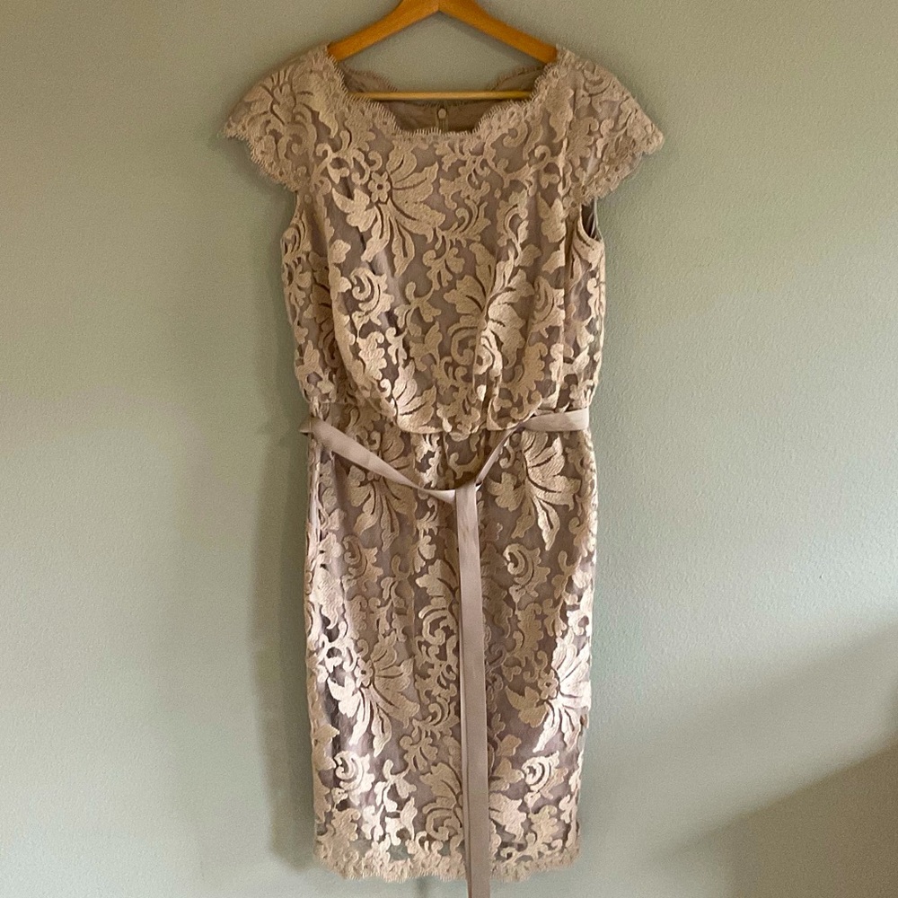 Tadashi Shoji Greta Embroidered Lace Dress